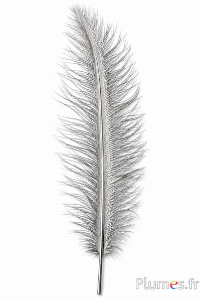 Strauss - 30-40 cm - silber